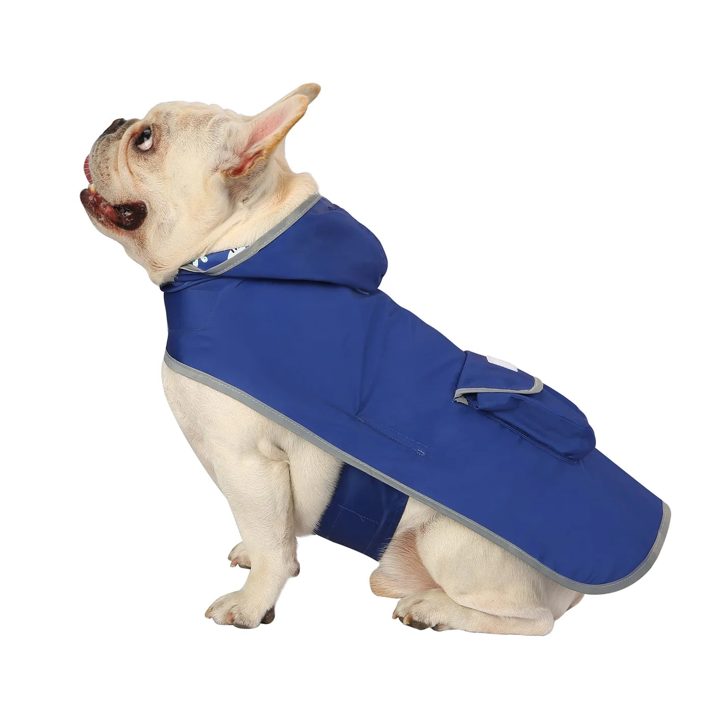 Reversible Hooded Dog Raincoat Poncho Jacket for Small, Medium, and Large Dogs - Shark Design