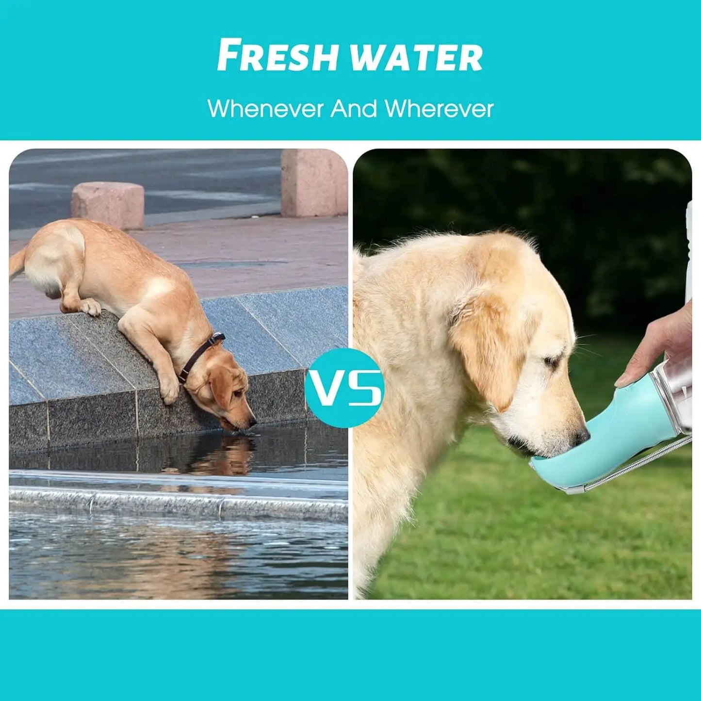 Portable Leak-Proof Dog Water Bottle - 19 Oz Blue Dispenser