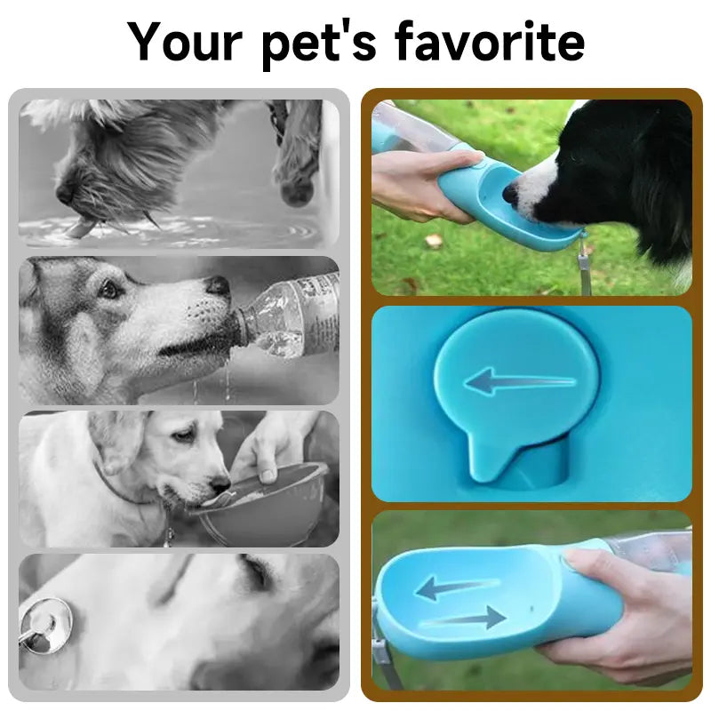Portable Dog Water Bottle with 3-in-1 Travel Bowl, Food Container, and Waste Bag Holder - Blue, 20 Oz, Ideal for Outdoor Activities and Hiking