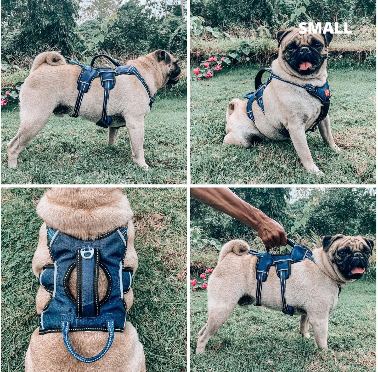 Escape-Resistant Adjustable Dog Harness | 5-Point Fit with Padded Design and Lift Handle