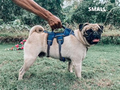 Escape-Resistant Adjustable Dog Harness | 5-Point Fit with Padded Design and Lift Handle