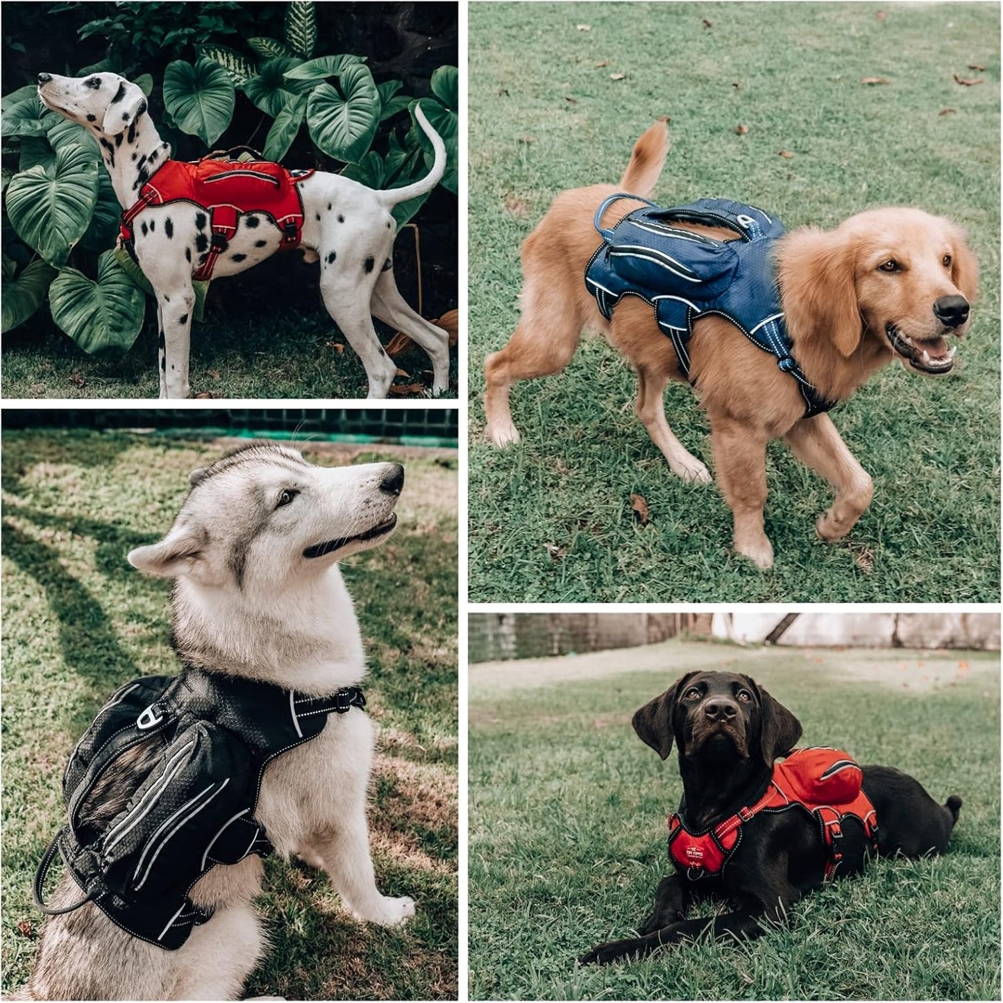 Escape-Proof Dog Harness with Four Pockets, Waterproof Backpack, Full Body Lift Handle, 5-Point Adjustable Fit, 3M Reflective Safety Features, Ideal for Hiking and Day Trips