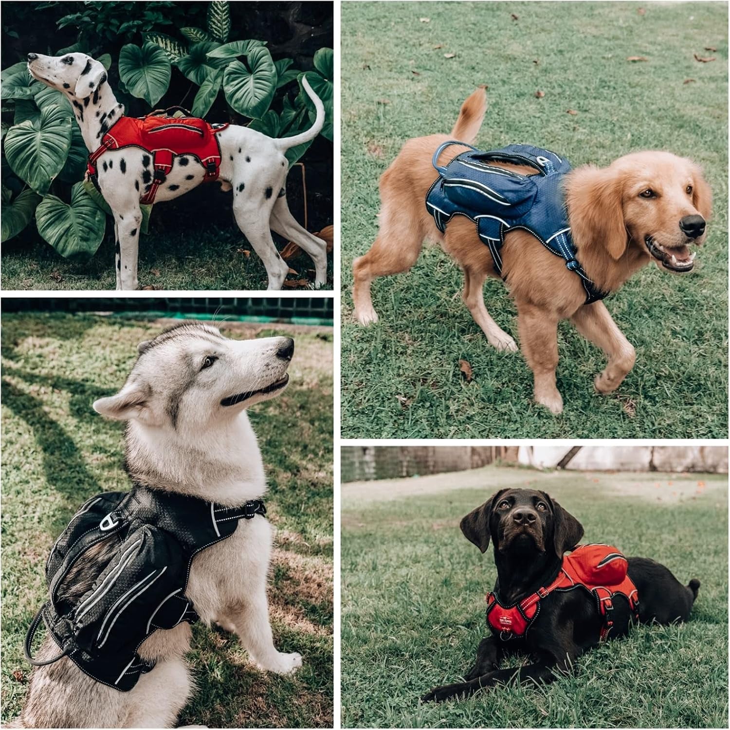Escape-Proof Dog Harness with Four Pockets, Waterproof Backpack, Full Body Lift Handle, 5-Point Adjustable Fit, 3M Reflective Safety Features, Ideal for Hiking and Day Trips