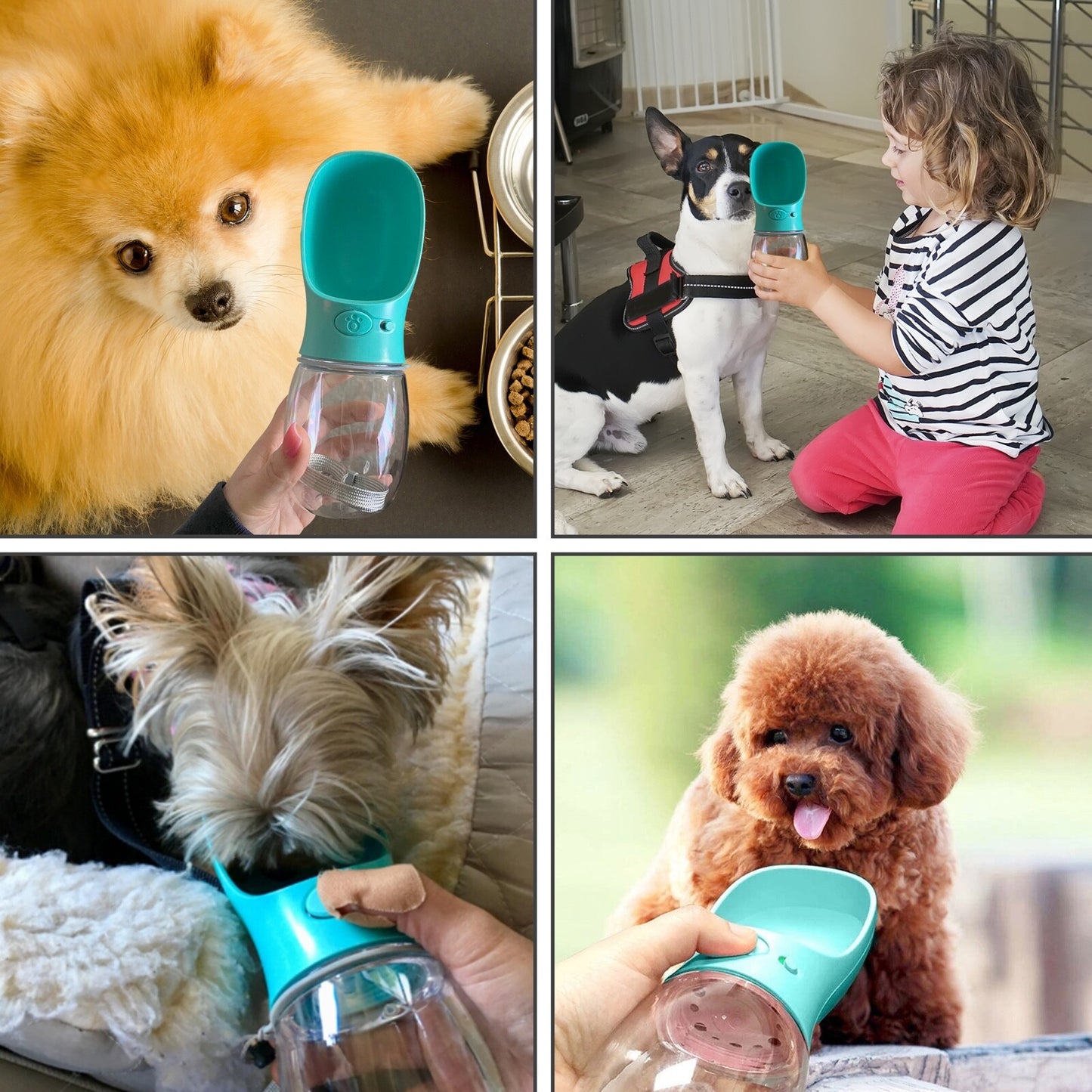 Portable Pet Water Bottle Dispenser for Dogs and Cats - Travel Drinking Feeder Tray Bowl - US Edition
