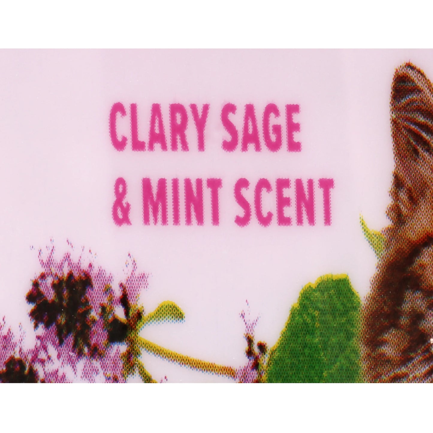 Deodorizing Cat Litter Crystals (2 Pack) - Clary Sage & Mint Scent, 15 Oz